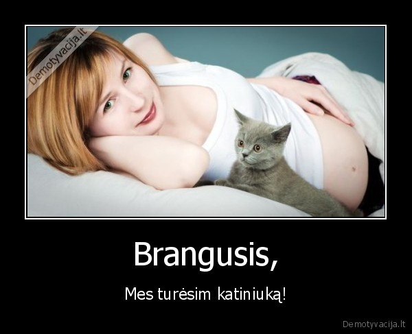 Brangusis, - Mes turėsim katiniuką!