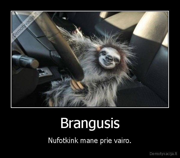 Brangusis - Nufotkink mane prie vairo.