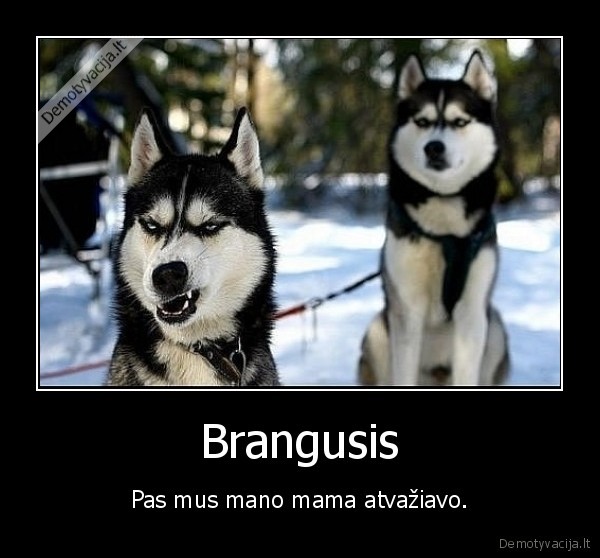 Brangusis - Pas mus mano mama atvažiavo.