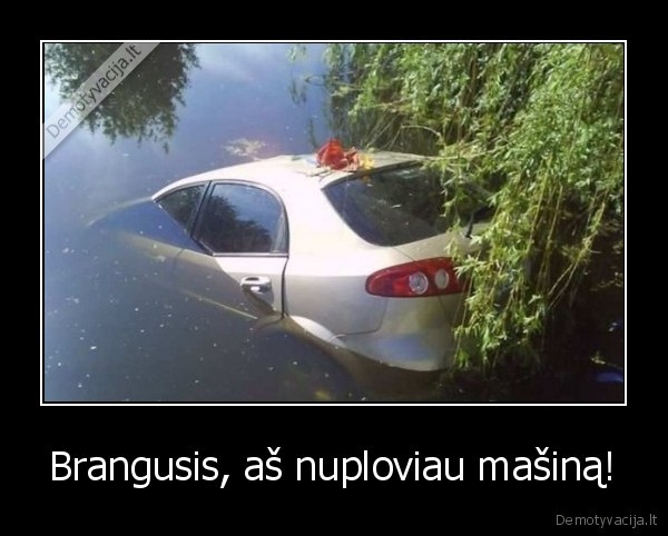 Brangusis, aš nuploviau mašiną! - 