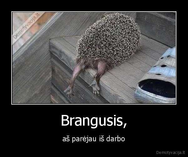 Brangusis, - aš parėjau iš darbo