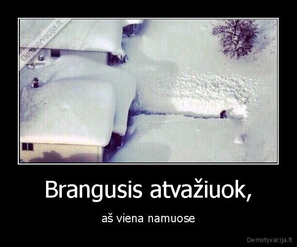 Brangusis atvažiuok, - aš viena namuose