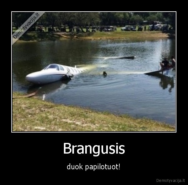 Brangusis - duok papilotuot!