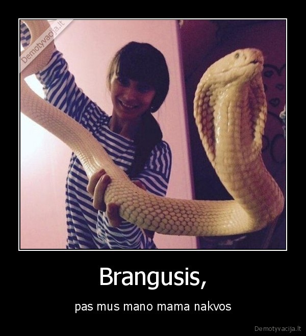 Brangusis, - pas mus mano mama nakvos