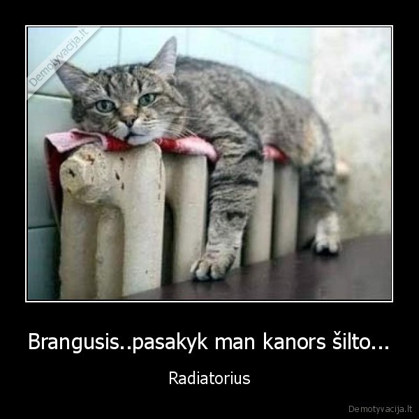 Brangusis..pasakyk man kanors šilto... - Radiatorius