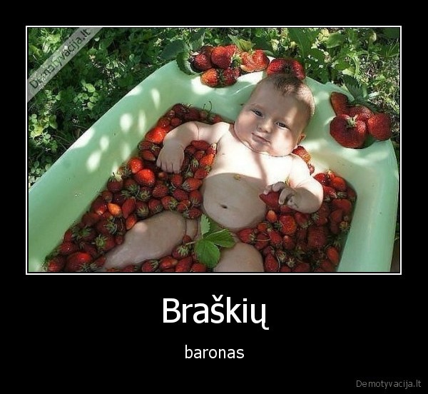 Braškių - baronas