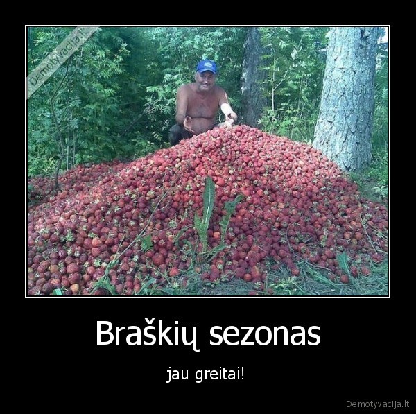 Braškių sezonas - jau greitai!