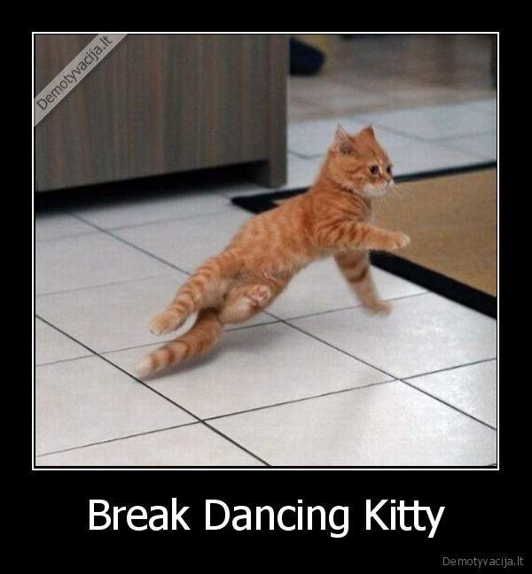 Break Dancing Kitty - 