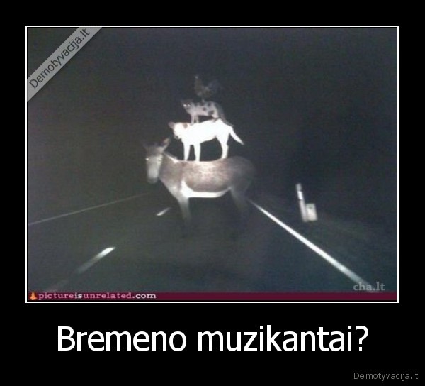 Bremeno muzikantai? - 