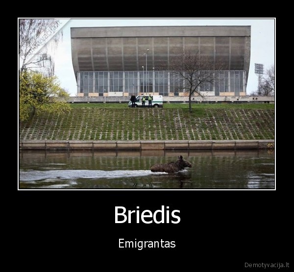 Briedis - Emigrantas