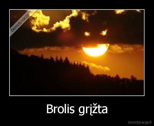 Brolis grįžta - 