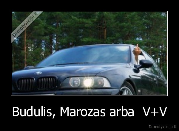 Budulis, Marozas arba  V+V - 