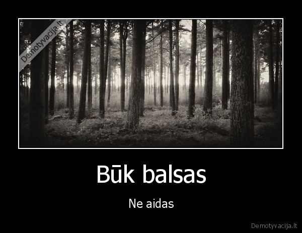 Būk balsas - Ne aidas