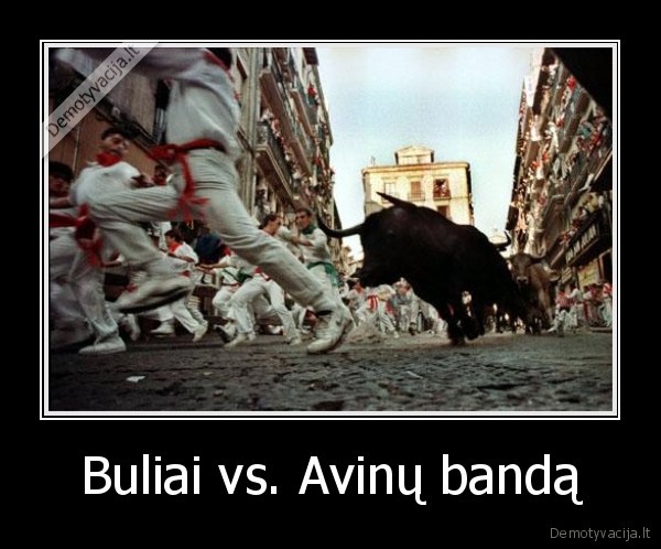 Buliai vs. Avinų bandą - 