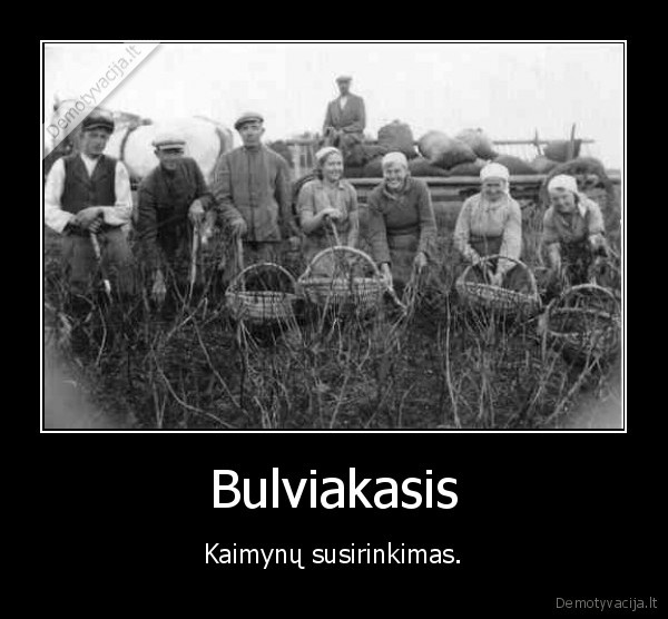 Bulviakasis - Kaimynų susirinkimas.