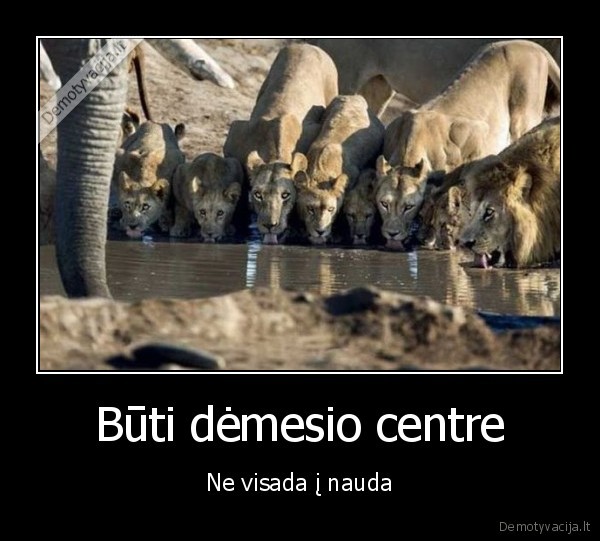 Būti dėmesio centre - Ne visada į nauda