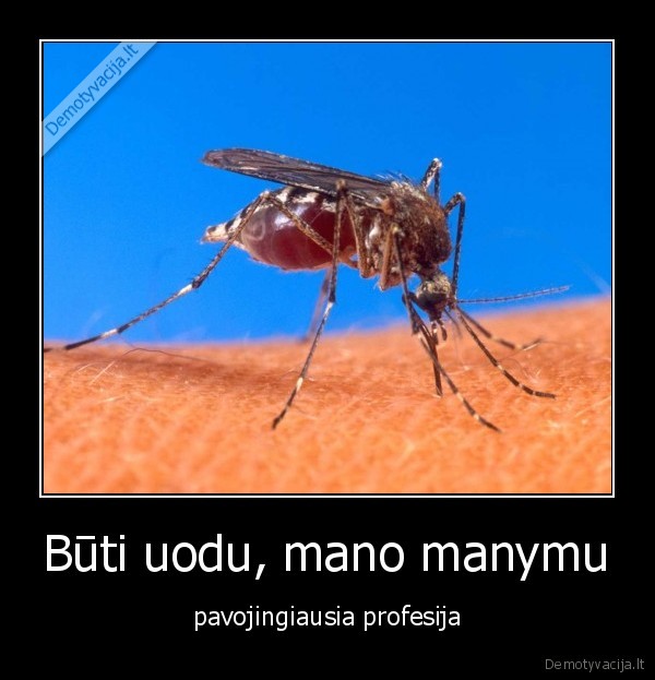 Būti uodu, mano manymu - pavojingiausia profesija