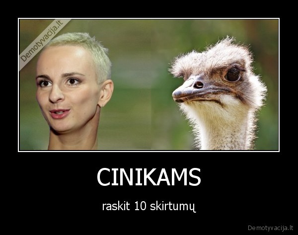 CINIKAMS - raskit 10 skirtumų