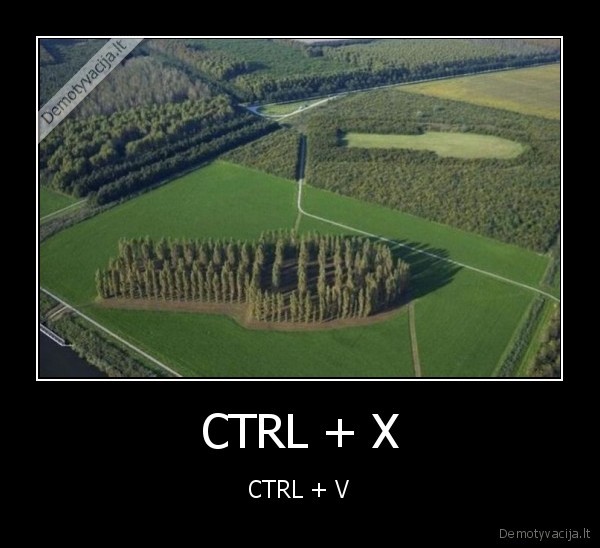 CTRL + X - CTRL + V