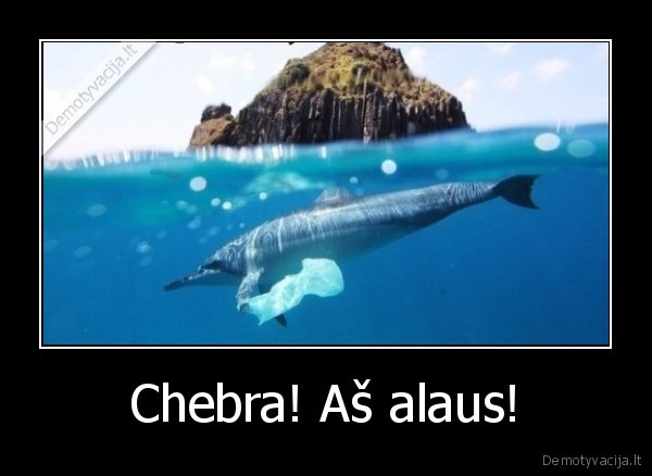 Chebra! Aš alaus! - 