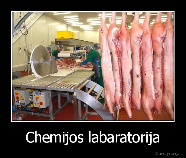 Chemijos labaratorija - 