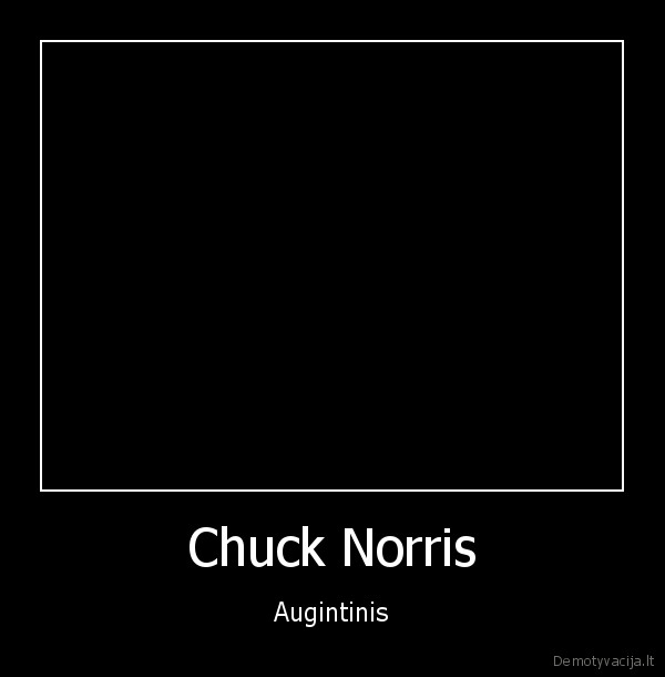 Chuck Norris - Augintinis