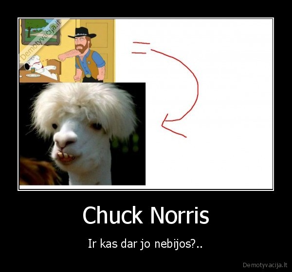 Chuck Norris - Ir kas dar jo nebijos?..