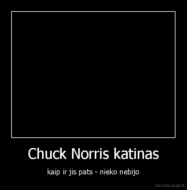 Chuck Norris katinas - kaip ir jis pats - nieko nebijo