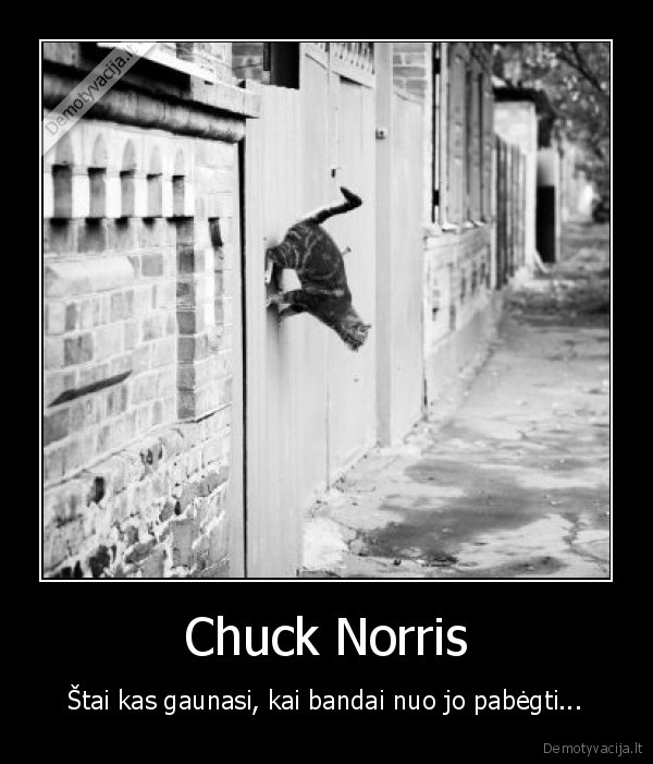 Chuck Norris - Štai kas gaunasi, kai bandai nuo jo pabėgti...