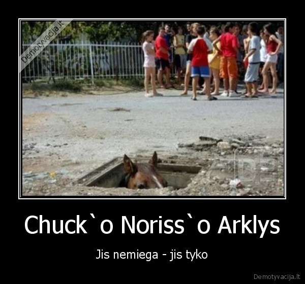 Chuck`o Noriss`o Arklys - Jis nemiega - jis tyko