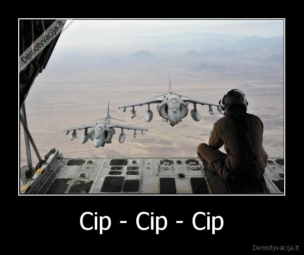 Cip - Cip - Cip - 