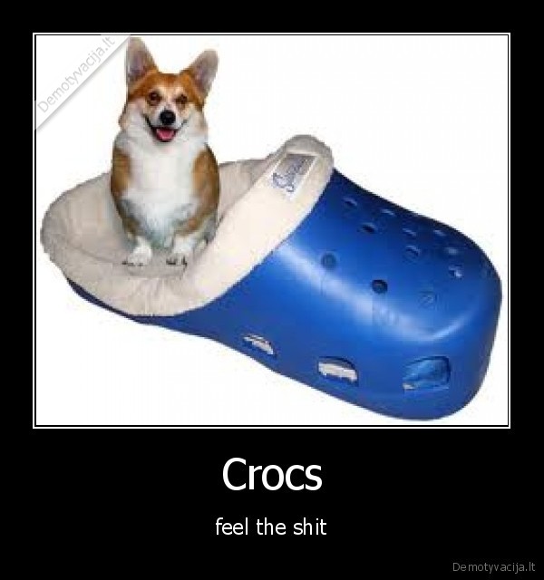 Crocs - feel the shit