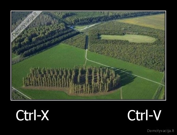 Ctrl-X                  Ctrl-V - 