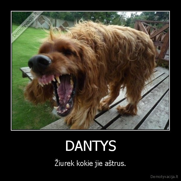 DANTYS - Žiurek kokie jie aštrus.