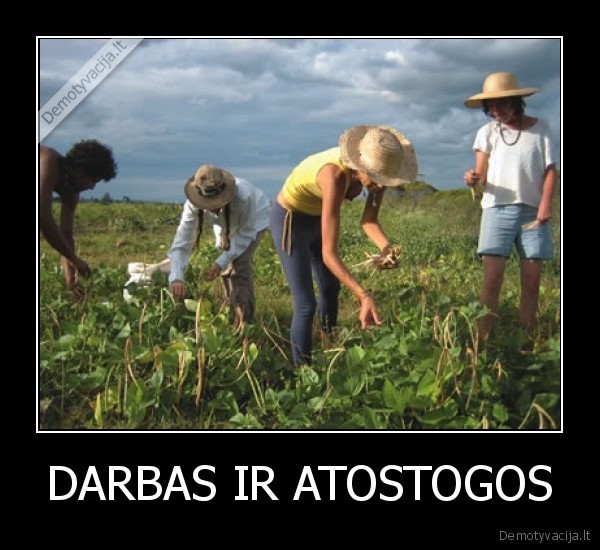 DARBAS IR ATOSTOGOS - 