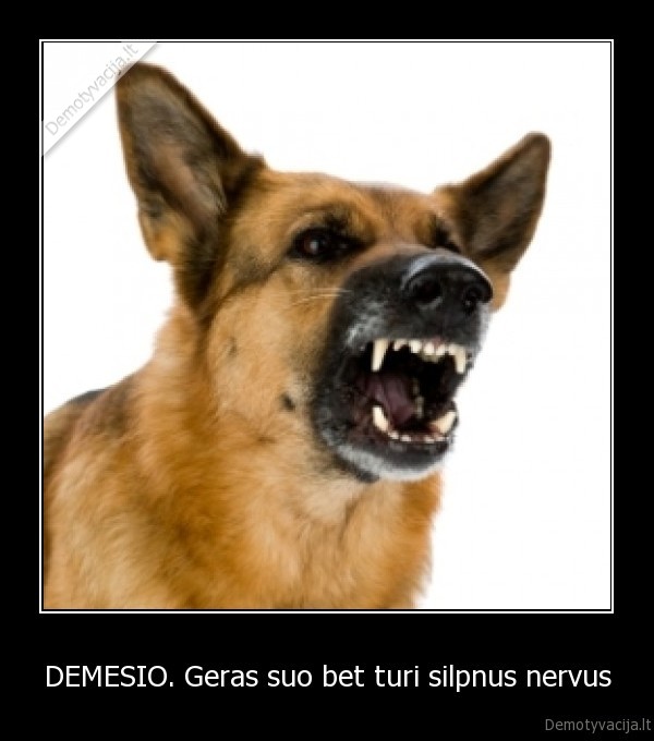 DEMESIO. Geras suo bet turi silpnus nervus - 