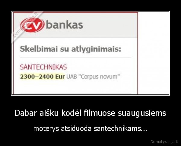 Dabar aišku kodėl filmuose suaugusiems - moterys atsiduoda santechnikams...