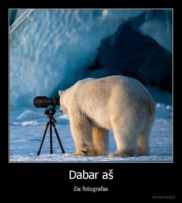 Dabar aš - čia fotografas