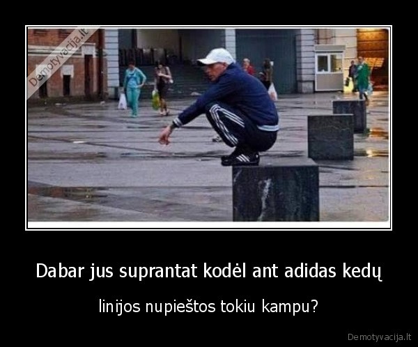 Dabar jus suprantat kodėl ant adidas kedų - linijos nupieštos tokiu kampu?