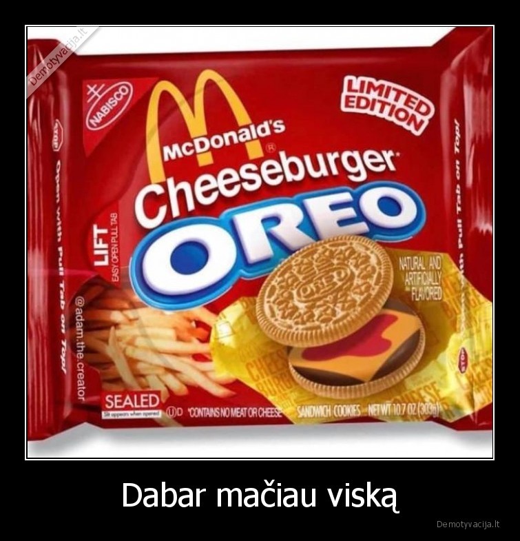 Dabar mačiau viską - 