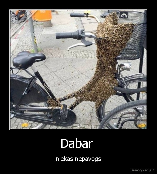 Dabar  - niekas nepavogs