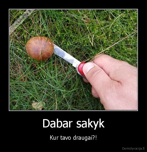 Dabar sakyk - Kur tavo draugai?!