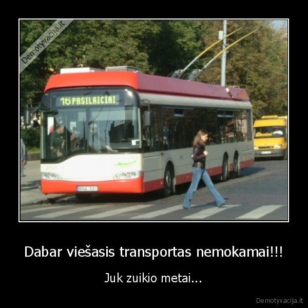 Dabar viešasis transportas nemokamai!!! - Juk zuikio metai...