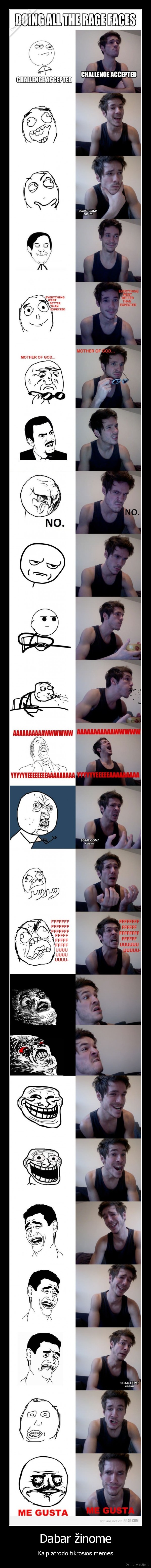 Dabar žinome - Kaip atrodo tikrosios memes
