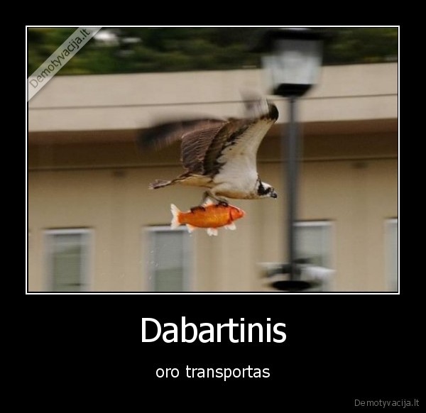 Dabartinis - oro transportas