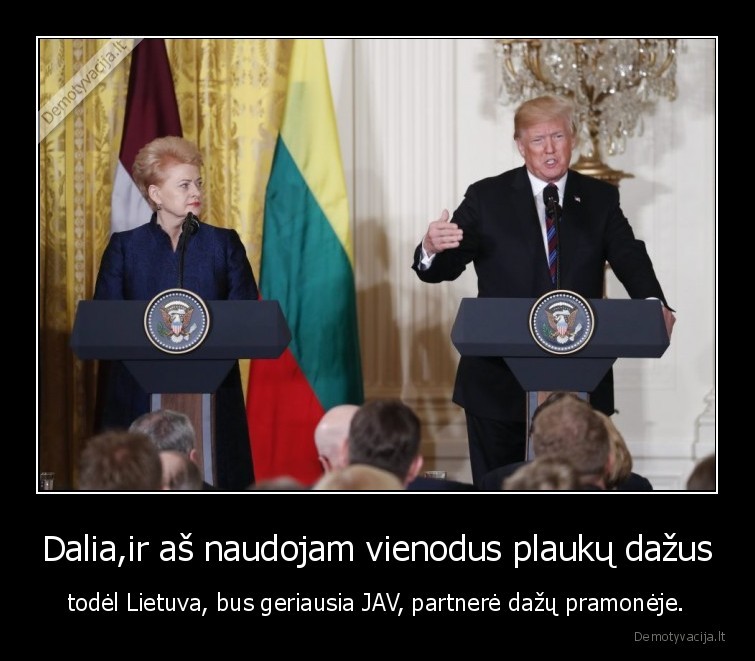 Dalia,ir aš naudojam vienodus plaukų dažus - todėl Lietuva, bus geriausia JAV, partnerė dažų pramonėje.