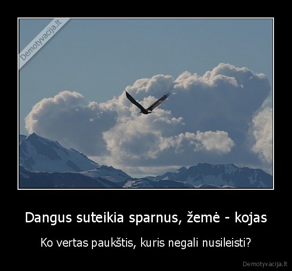 Dangus suteikia sparnus, žemė - kojas - Ko vertas paukštis, kuris negali nusileisti?