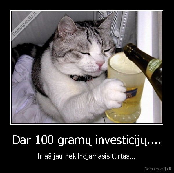 Dar 100 gramų investicijų.... - Ir aš jau nekilnojamasis turtas...