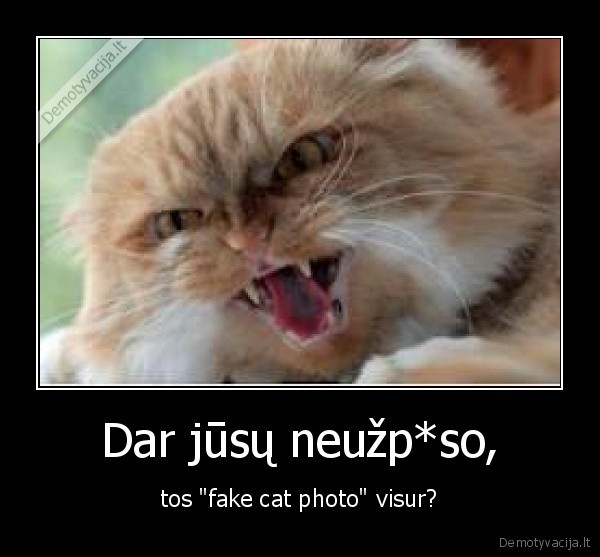 Dar jūsų neužp*so, - tos "fake cat photo" visur?