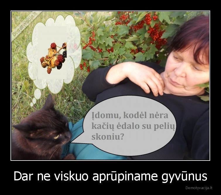 Dar ne viskuo aprūpiname gyvūnus - 